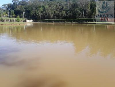 Stio para Venda, em Jarinu, bairro Chcaras de Recreio da Fazenda Estncia So Paulo, 10 dormitrios, 6 banheiros, 2 sutes, 20 vagas