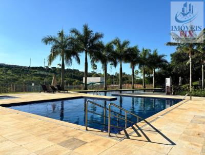 imagem-miniatura